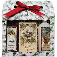 Bohemia Gifts Zestaw prezentowy na Boże Narodzenie: żele pod prysznic 2× 100 ml + kartka zapachowa jabłko i cynamon