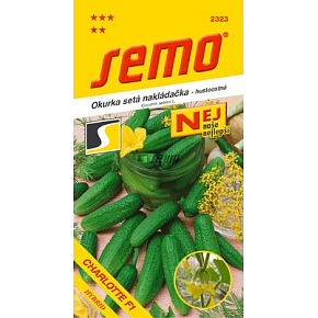 Semo Charlotte F1 ogórki gruntowe do kiszenia 1,5 g Semo Charlotte F1 ogórki gruntowe do kiszenia 1,5 g