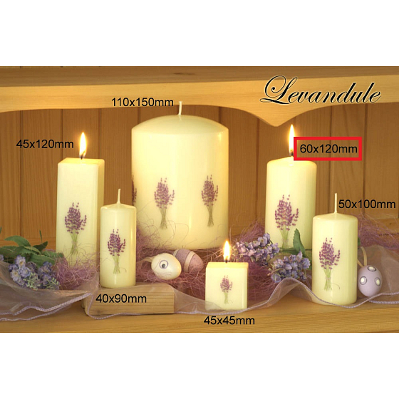 Lima Květina Levandule vonná svíčka slonová kost s obtiskem levandule válec 60 x 120 mm 1 kus